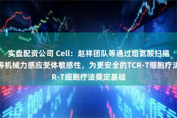 实盘配资公司 Cell：赵祥团队等通过组氨酸扫描调制TCR等机械力感应受体敏感性，为更安全的TCR-T细胞疗法奠定基础