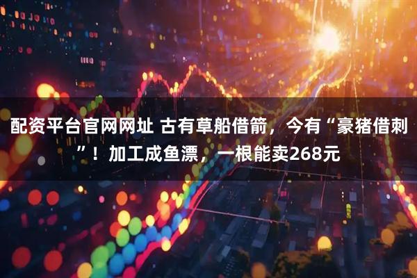 配资平台官网网址 古有草船借箭，今有“豪猪借刺”！加工成鱼漂，一根能卖268元