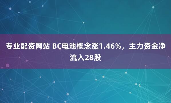 专业配资网站 BC电池概念涨1.46%，主力资金净流入28股